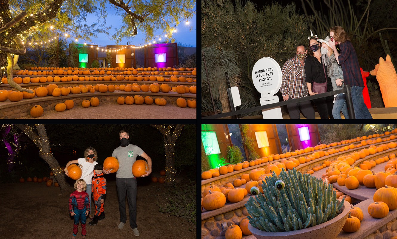 How Desert Botanical Garden Created a Safe and Interactive Halloween Experience!